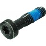 Винт GAMO M6X22 DIN 7985 TORX 36240